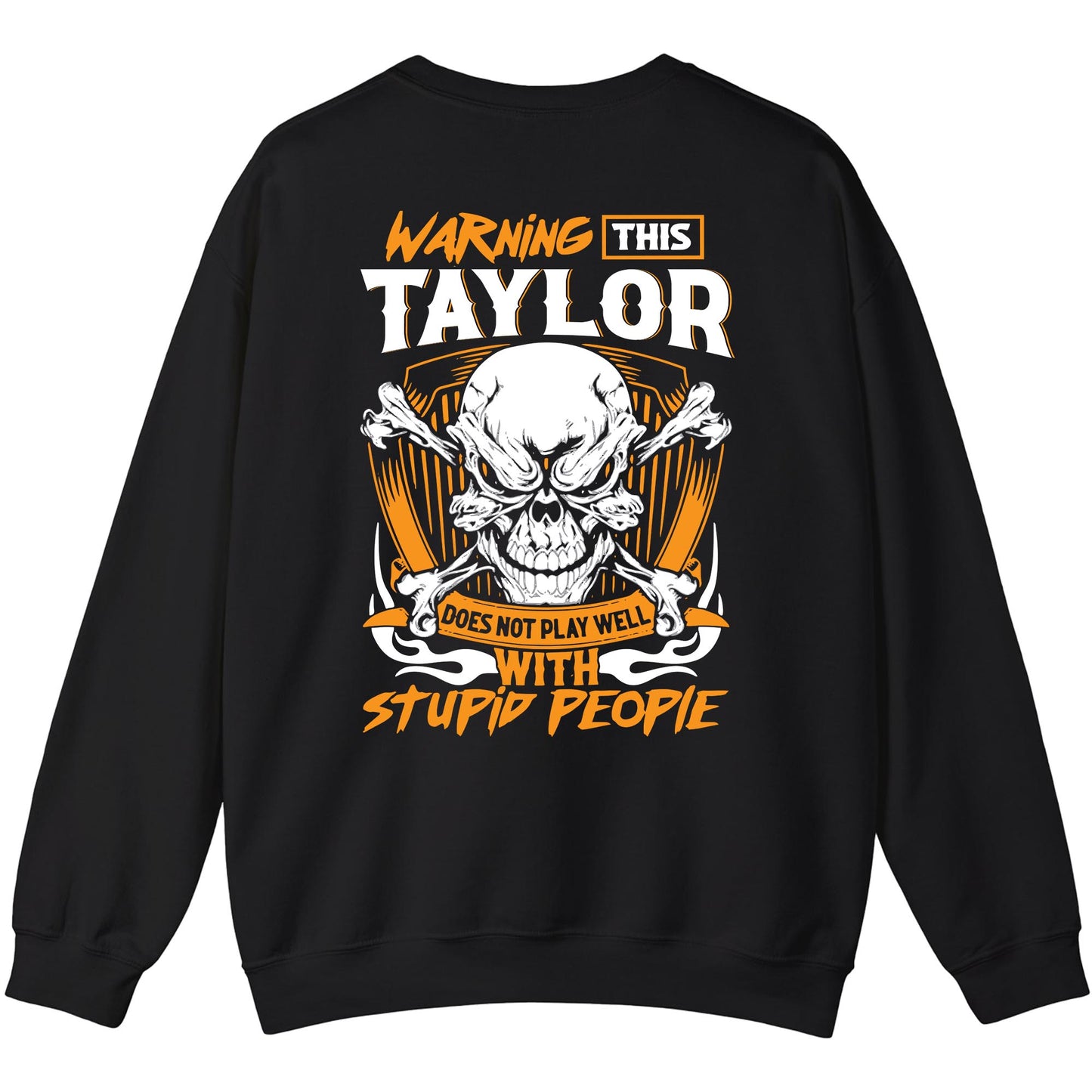TAYLOR - TC01TS003 - Warning This TAYLOR Does Not Play Well With Stupid People - Personalized Shirt, Premium Gift for Anniversary