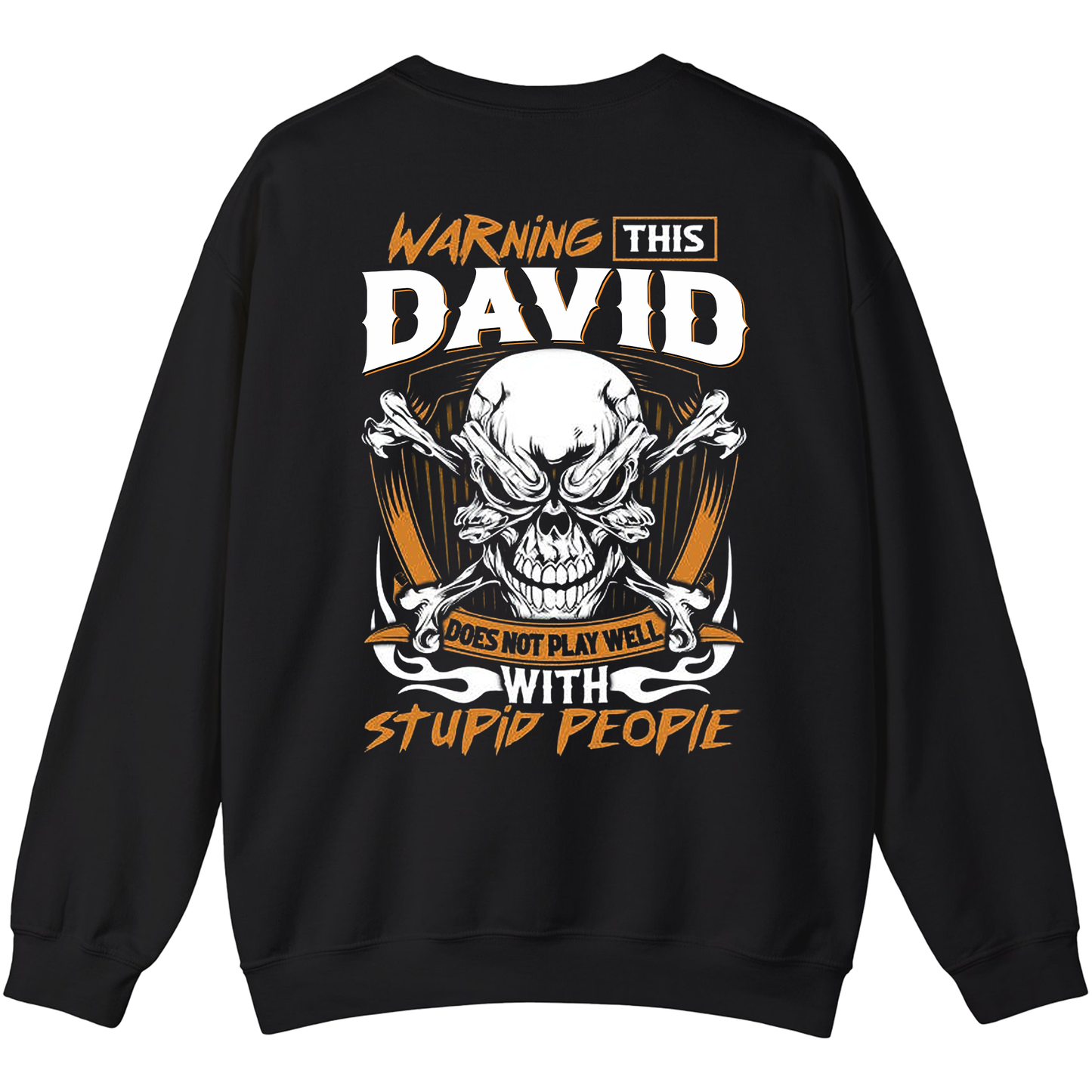 DAVID - Warning This Guy Does Not Play Well With Stupid People