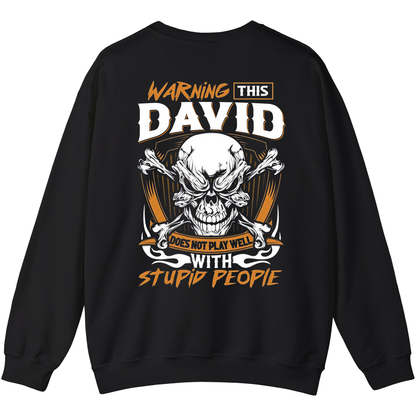 DAVID - Warning This Guy Does Not Play Well With Stupid People