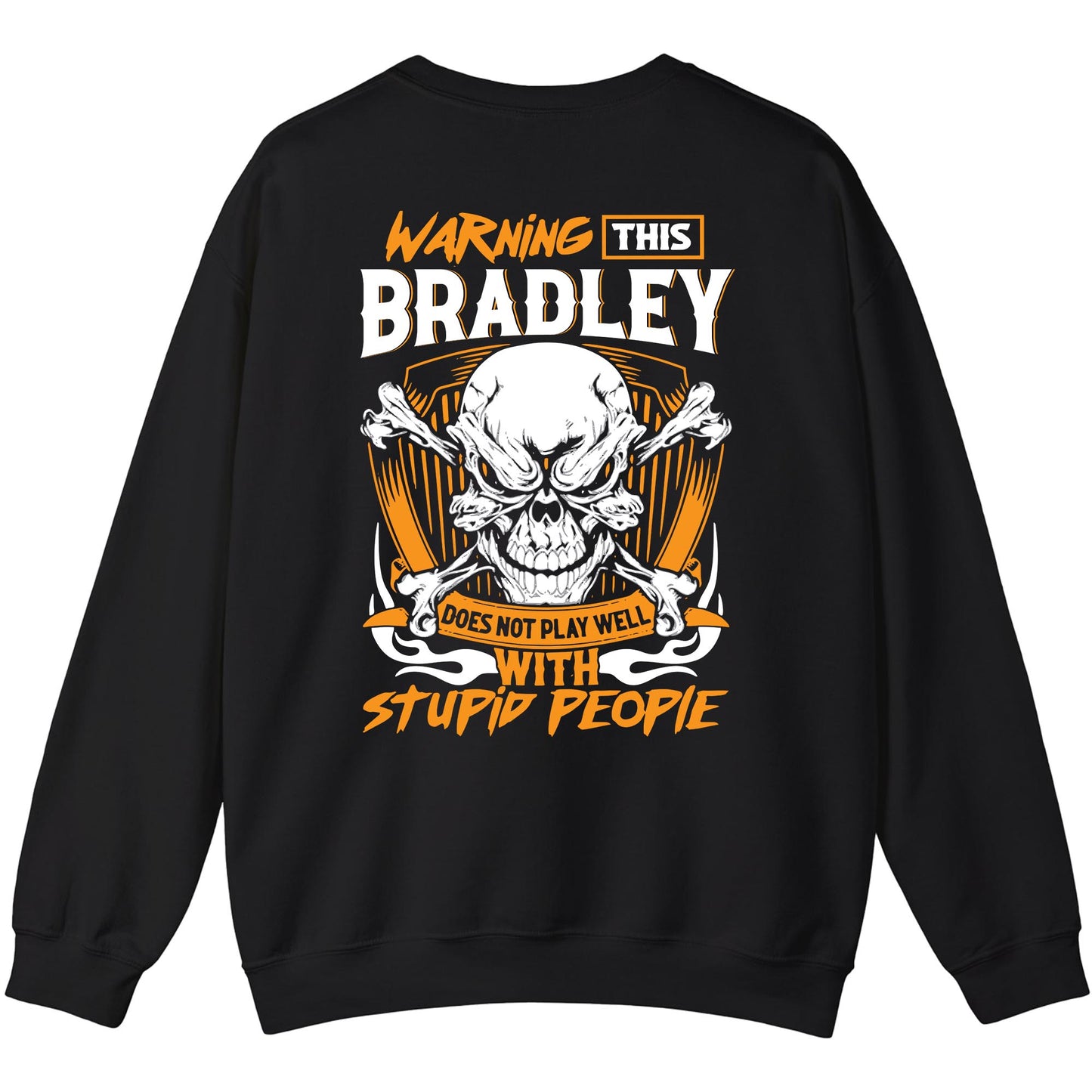 BRADLEY - TC01TS003 - Warning This BRADLEY Does Not Play Well With Stupid People - Personalized Shirt, Premium Gift for Anniversary