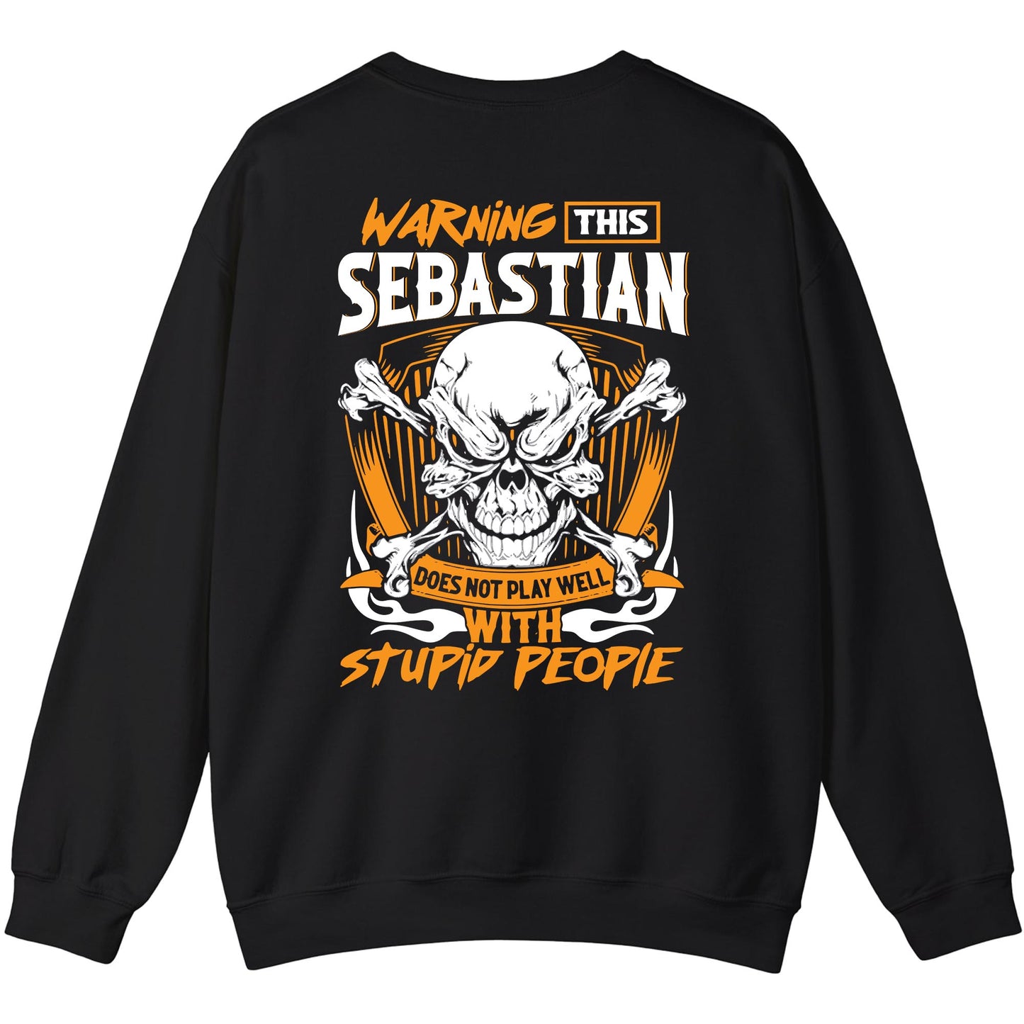 SEBASTIAN - TC01TS003 - Warning This SEBASTIAN Does Not Play Well With Stupid People - Personalized Shirt, Premium Gift for Anniversary